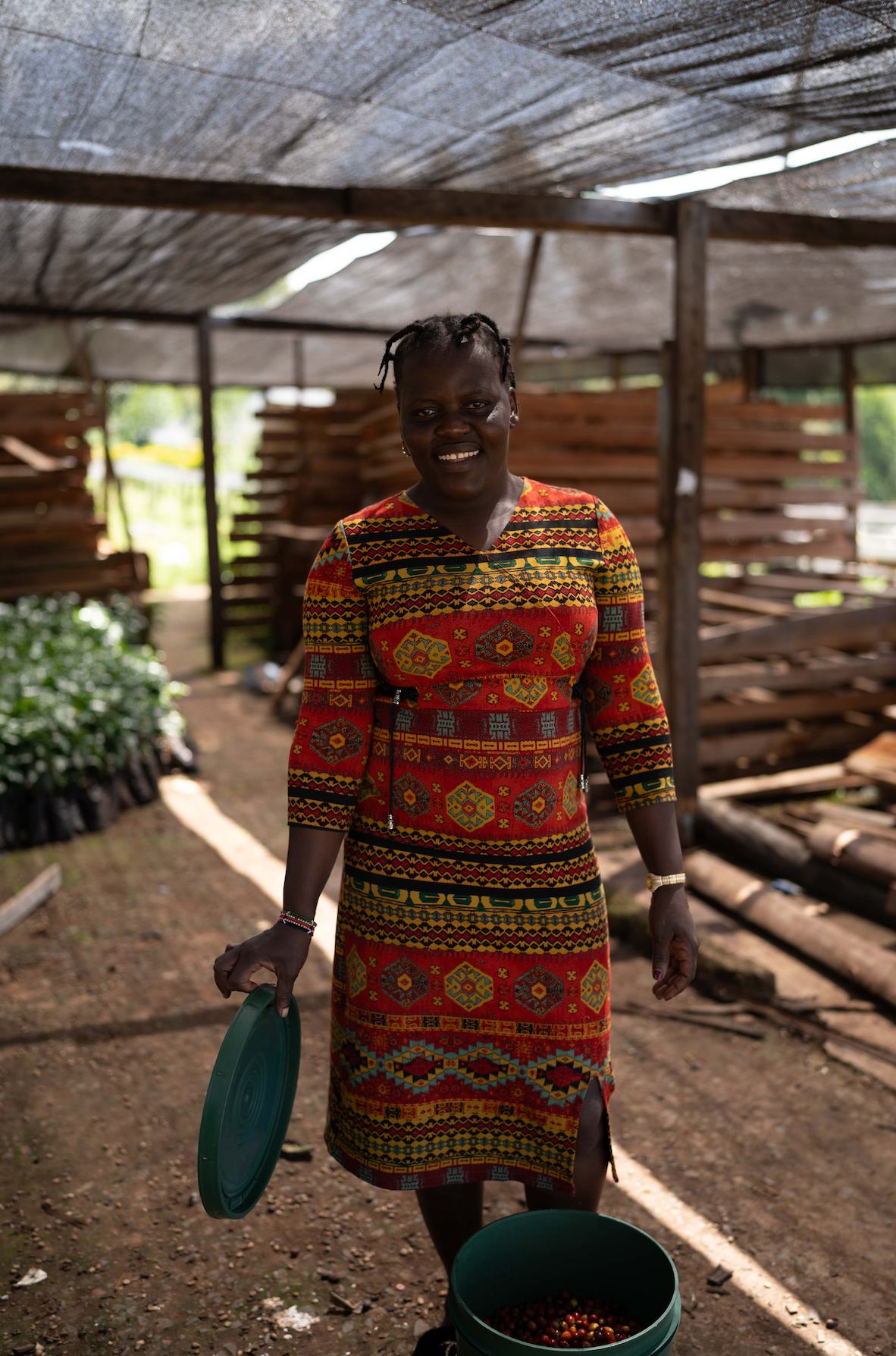 Kenya - Wild Bomba Anaerobic