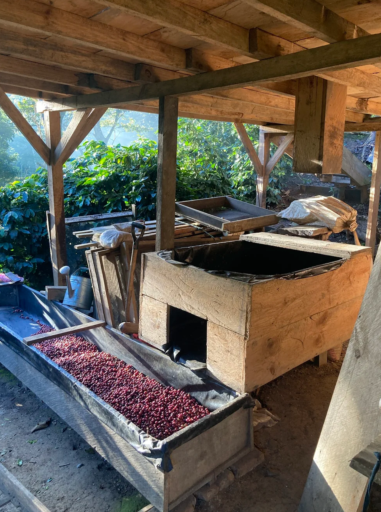 Nicaragua - El Hormiguero