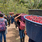 Nicaragua - Los Placeres