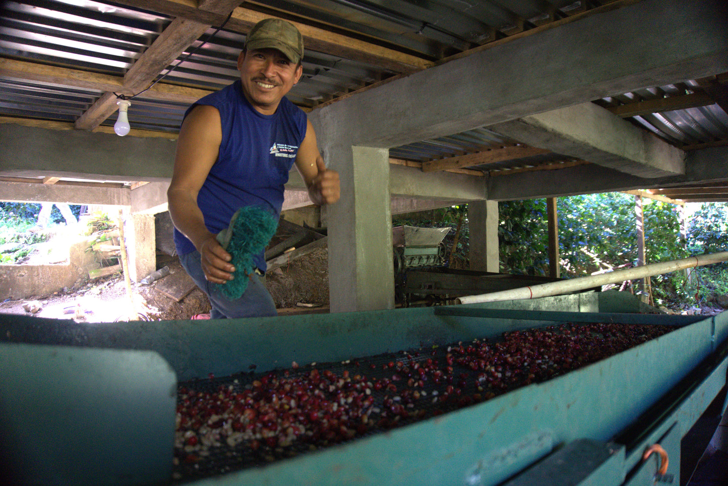 Espresso - Nicaragua - Paraiso
