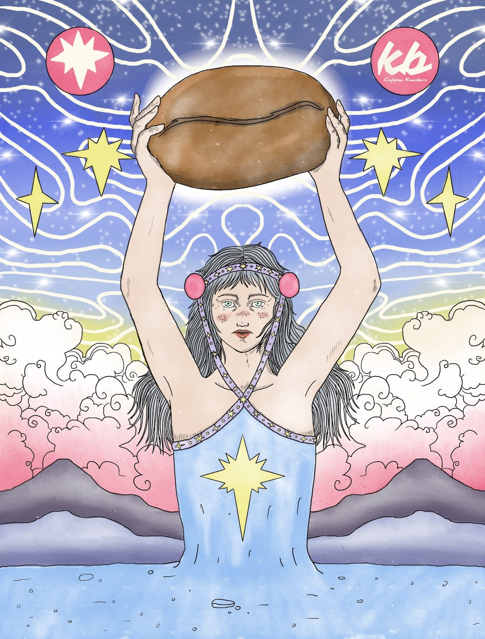 Panama - Hartmann Maragogype