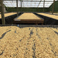 Peru - Finca Yanacocha