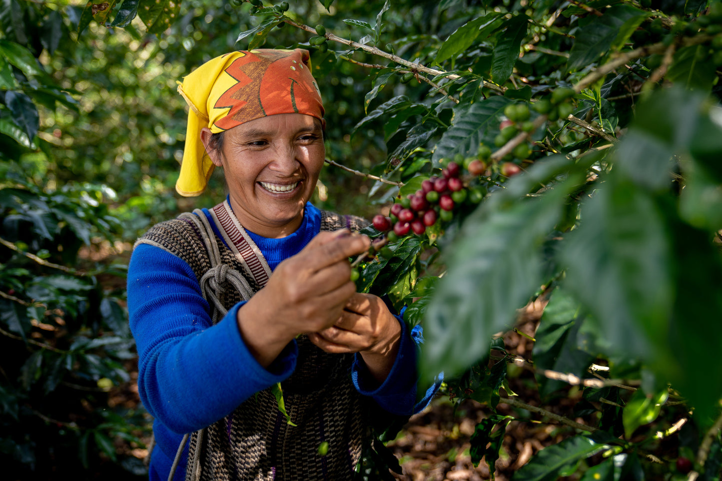 Espresso - Peru - Vituya