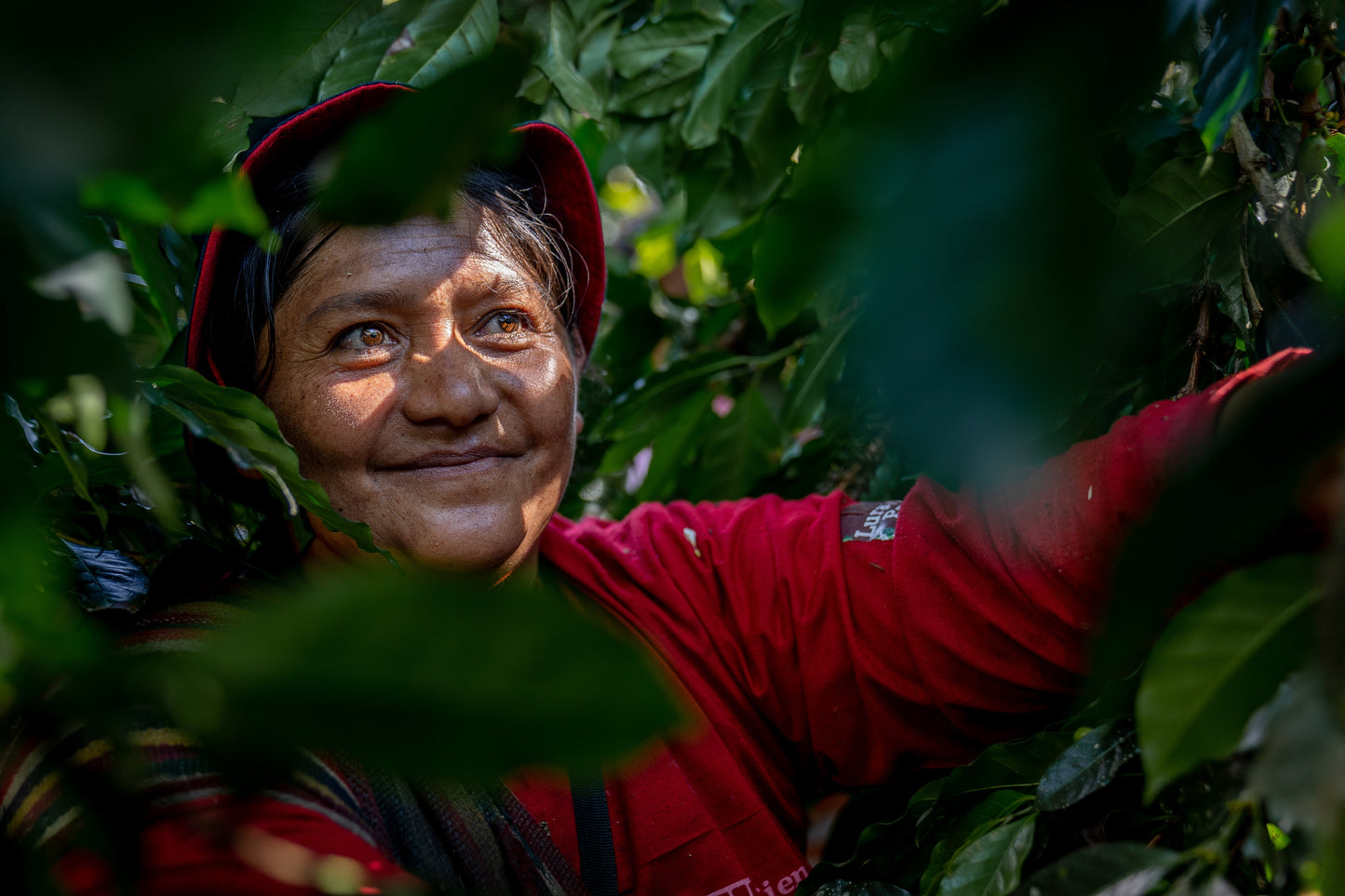 Espresso - Peru - Vituya