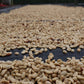 Espresso - Peru - Timbuyacu