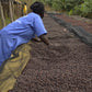 Rwanda- Gisanga