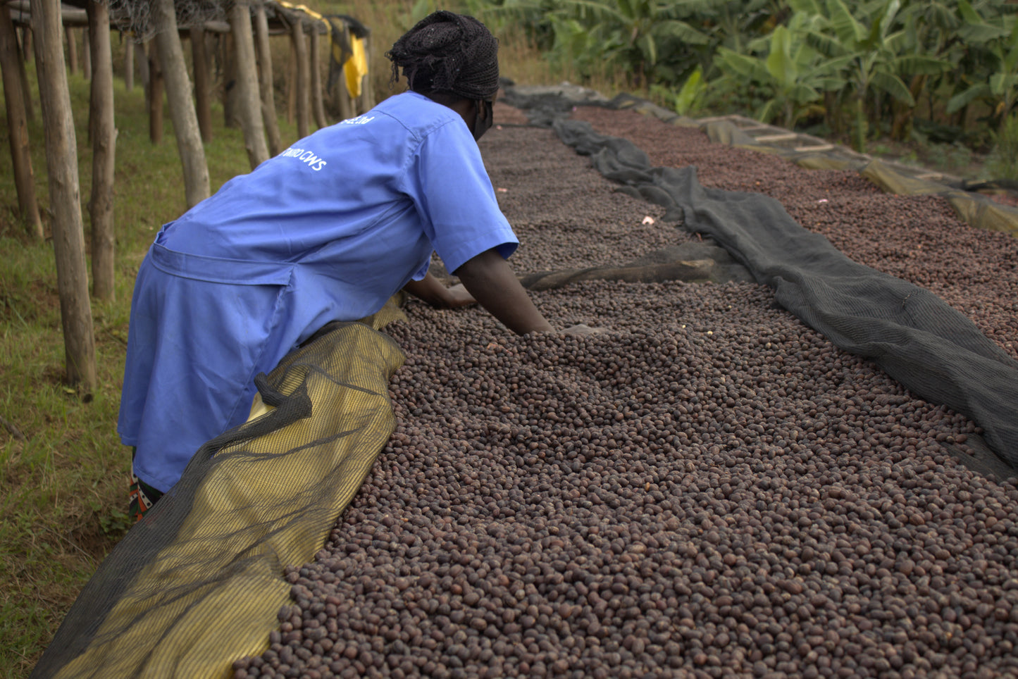 Rwanda- Gisanga