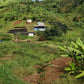 Espresso - Rwanda - Muzo