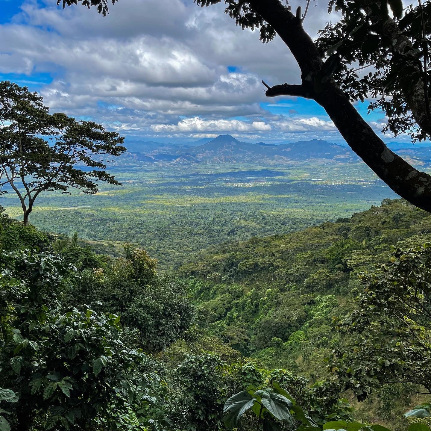 Espresso - Salvador - Finca El Salvador 120H