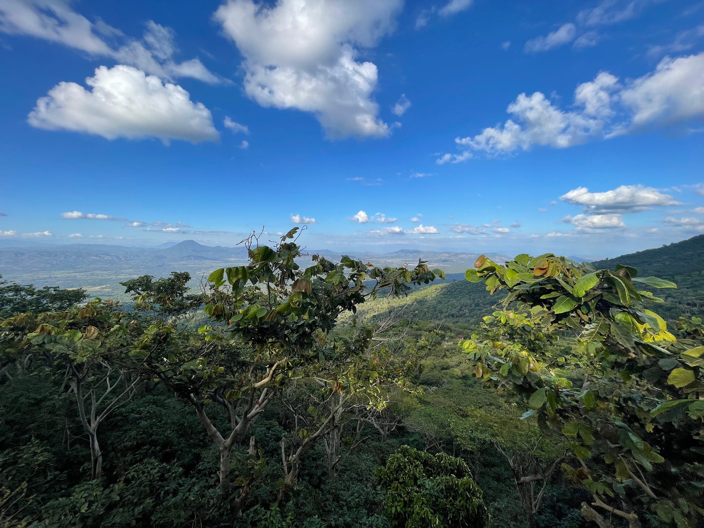 Espresso - Salvador - Finca El Salvador 120H