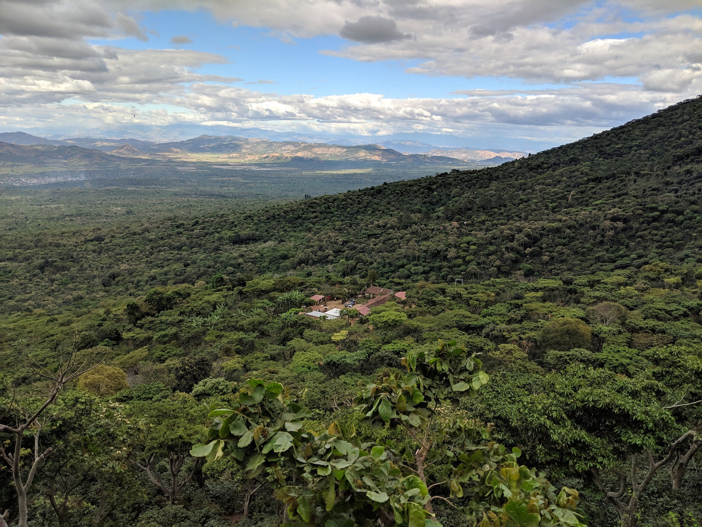 Espresso - Salvador - Finca El Salvador 120H