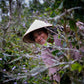 Vietnam - Hoàng Hôn