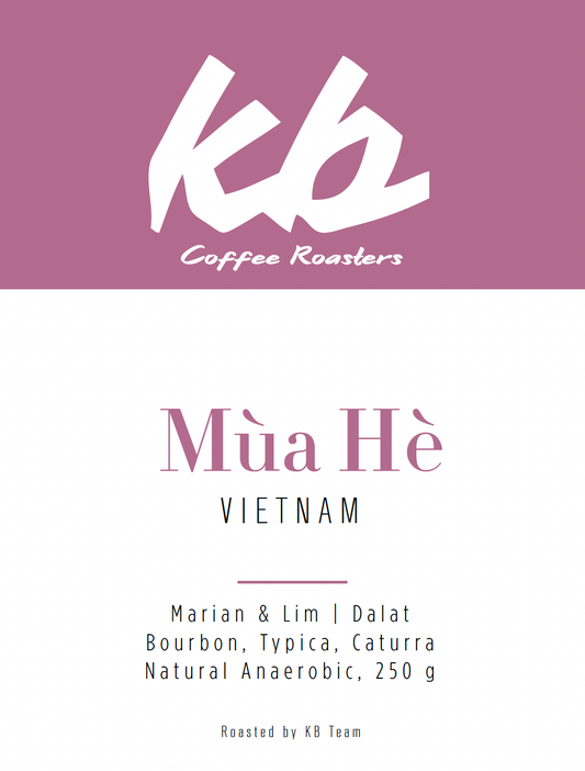 Vietnam - Mùa Hè