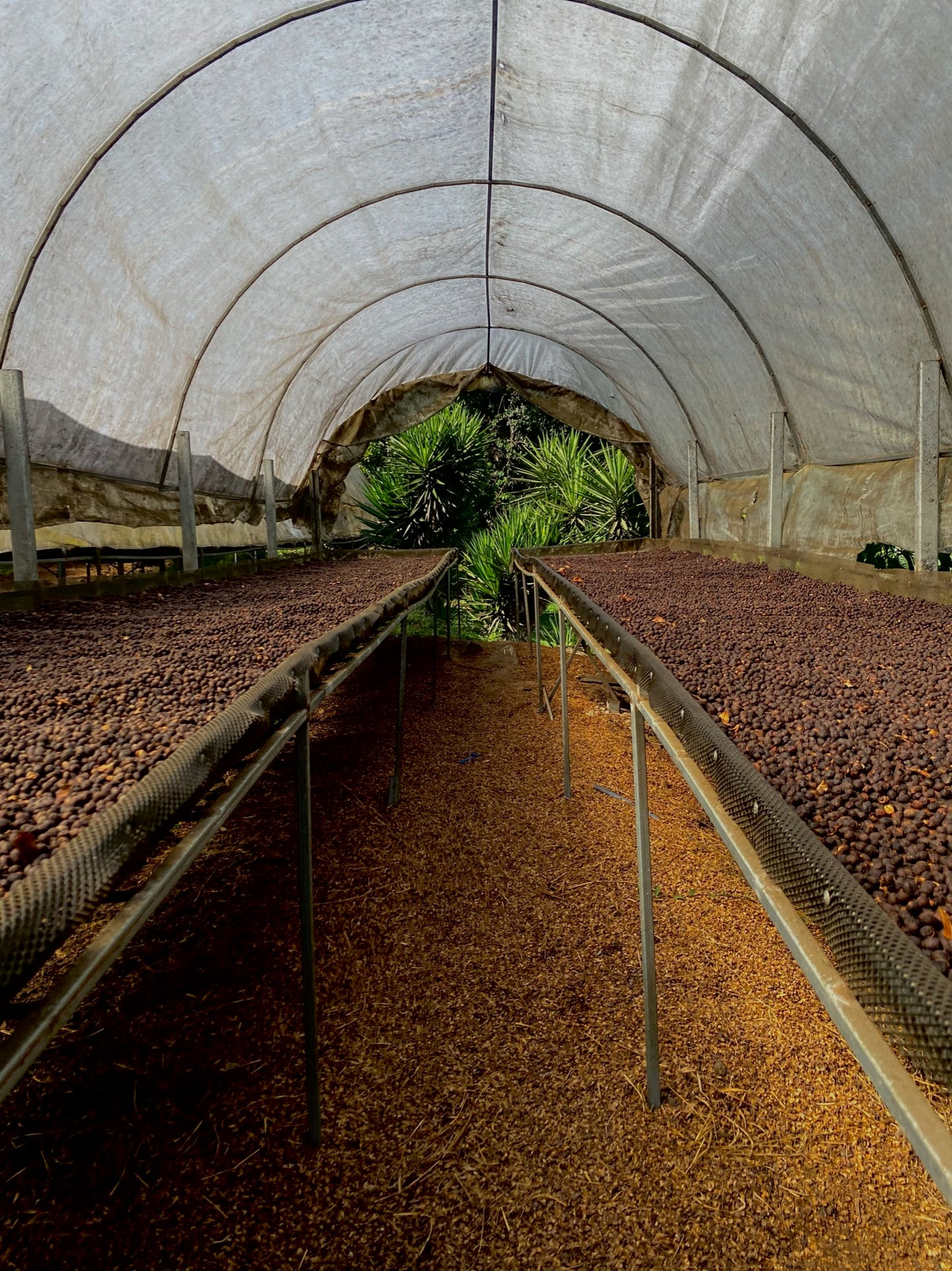 Espresso - Costa Rica - Vista Al Chirripo Anaerobic