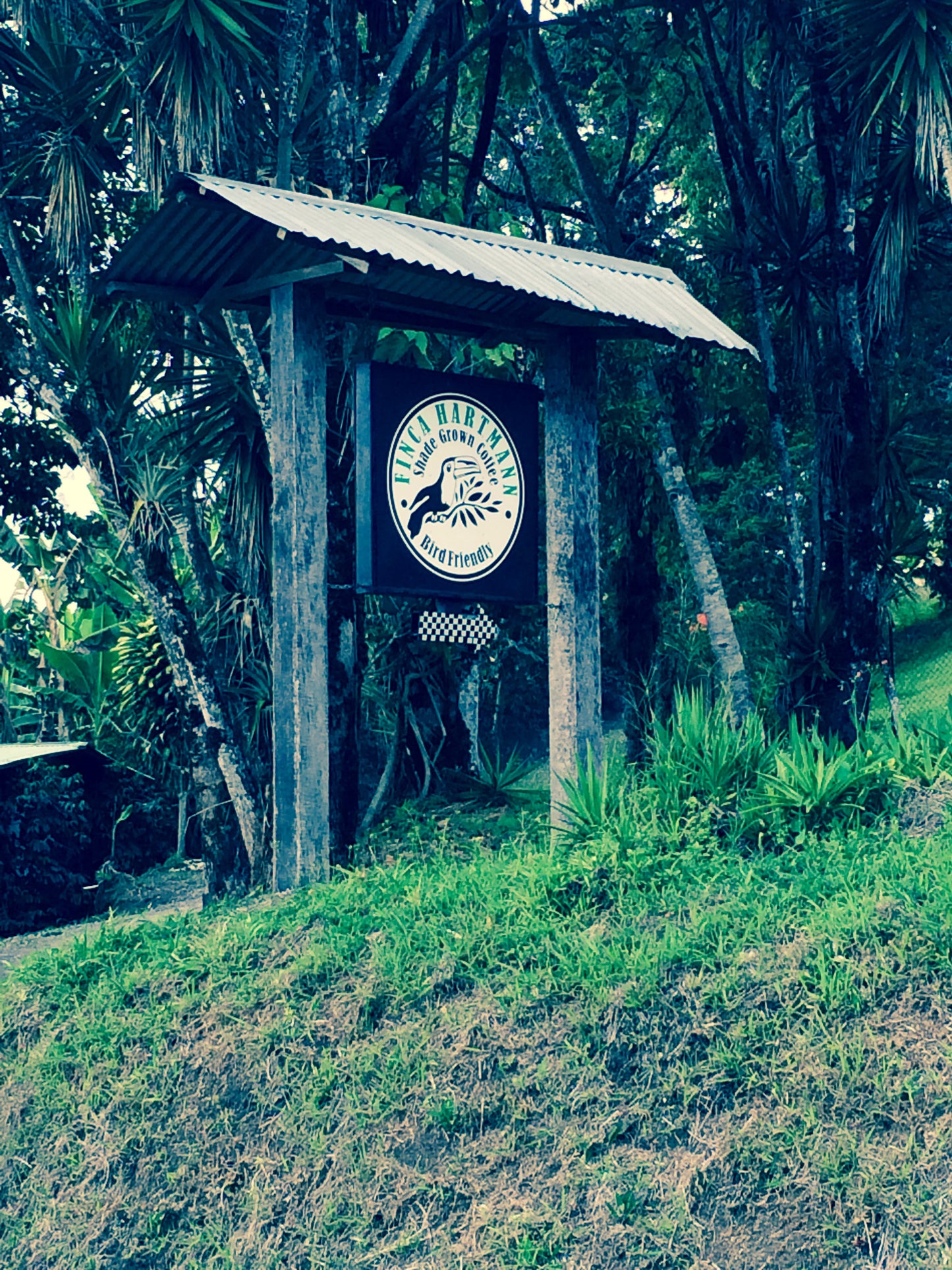 Espresso - Panama - Hartmann